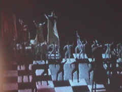 film11.jpg (185675 Byte)