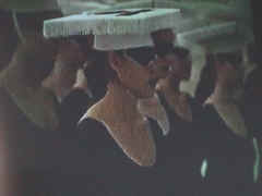 film15.jpg (178376 Byte)