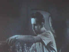 film6.jpg (173537 Byte)