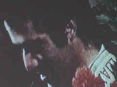 film9.jpg (174074 Byte)