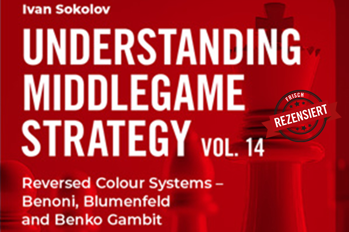 Chess news — Frisch rezensiert: Ivan Sokolov – Understanding Middlegame Strategy (Teil 14)
